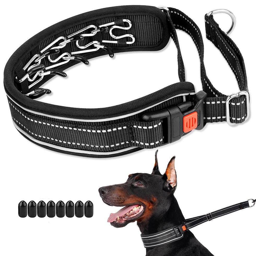 Mayerzon Martingale No Pull Dog Collar, Reflective Walking C - Image 1