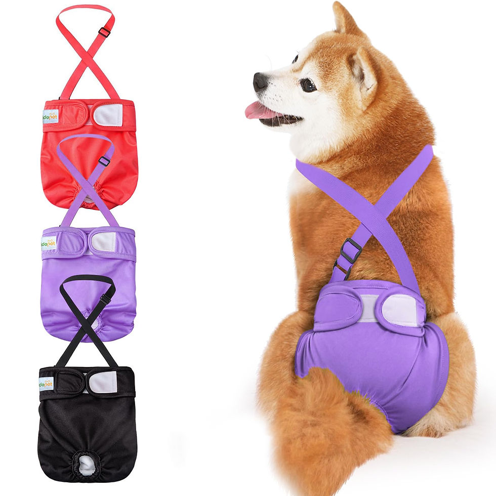 Idepet Female Dog Diapers with Suspender 3 Pack Washable Reusable Doggie Diapers