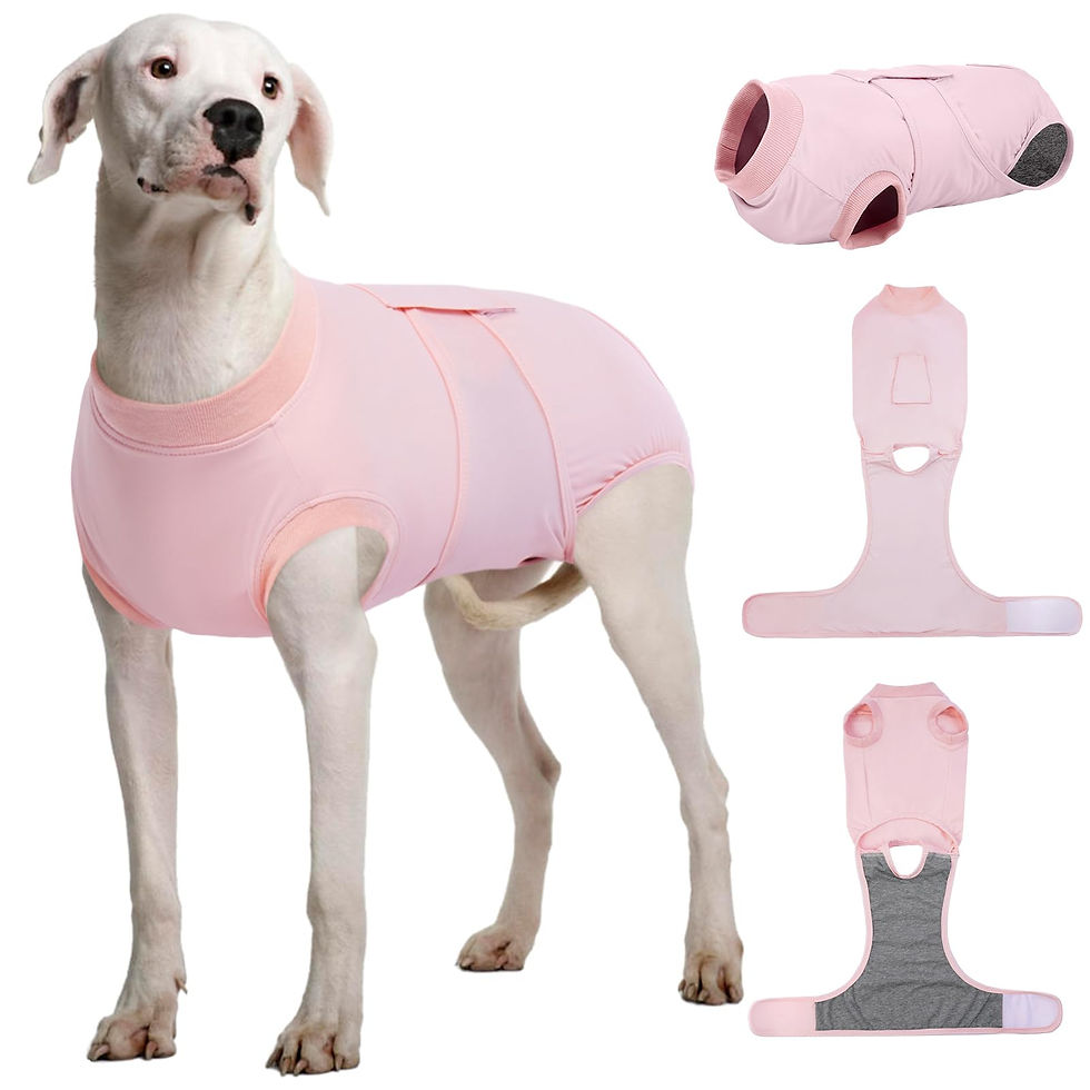 Kuoser Dog Recovery Suit for Dogs After Surgery, Soft Dog Su - Image 1