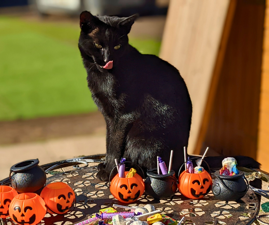halloween activities near me