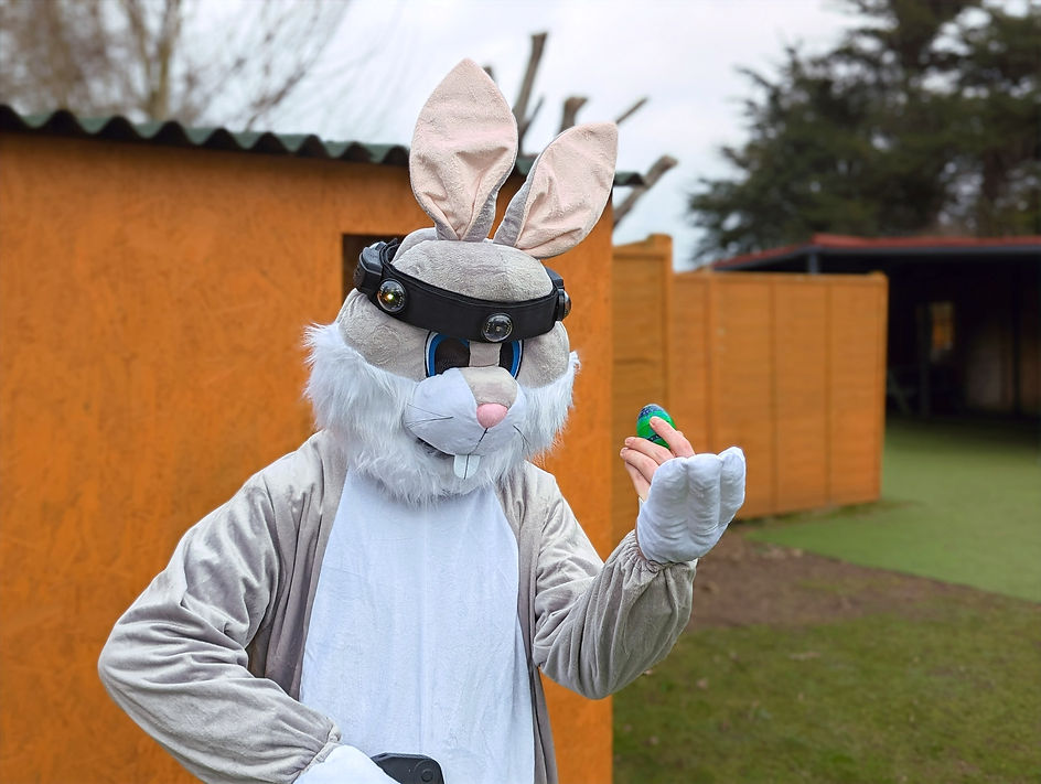 Cut Out Bunny_edited.jpg