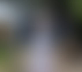 Easter Holiday Activities Near Me