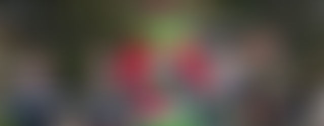 Discover Unforgettable Christmas Activities Near Me - Dive into the Festive Fun!