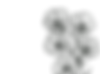 Frame 2448.png