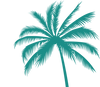 PALM TREE_edited.png