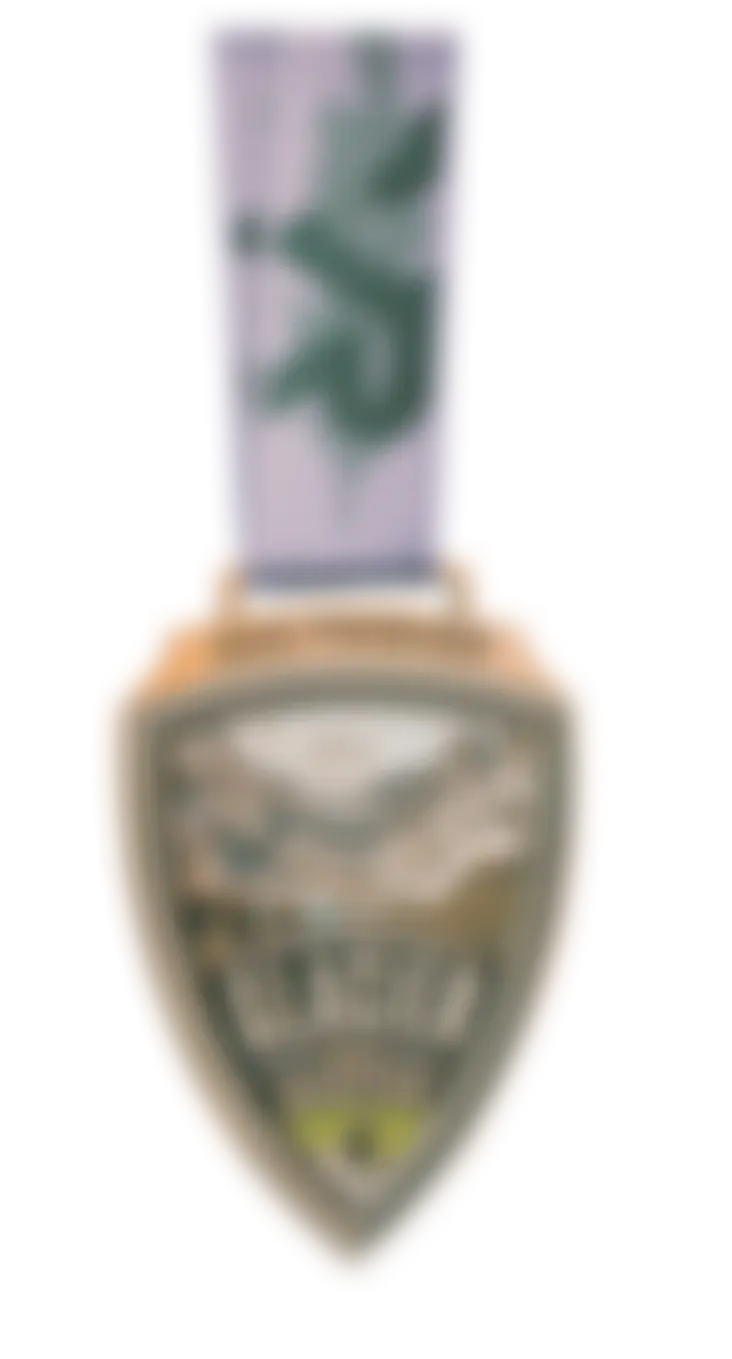 MEDAL.webp