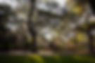 DSC07097.jpg