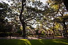 DSC07097.jpg