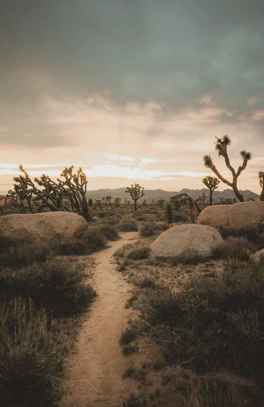 Testimonial BG-1.webp