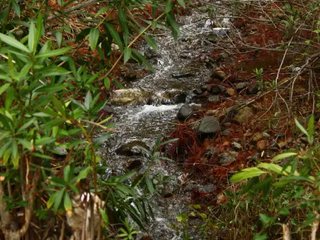 Debunking Common Myths: Your Guide to Phase 1 Environmental Assessments