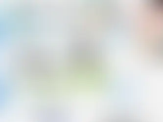 Demystifying the ESA Process Timeline: A Comprehensive Guide