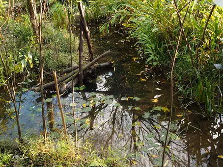 Discover the Top Industries That Thrive with Phase 1 Environmental Site Assessments