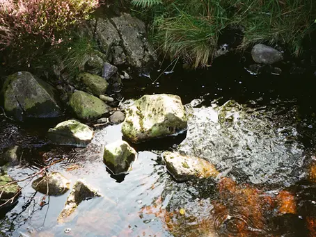 Unlocking the Secrets: Resources for Mastering Phase 1 Environmental Site Assessments