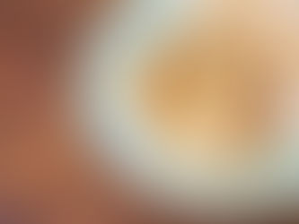 Queijo Camembert Empanado