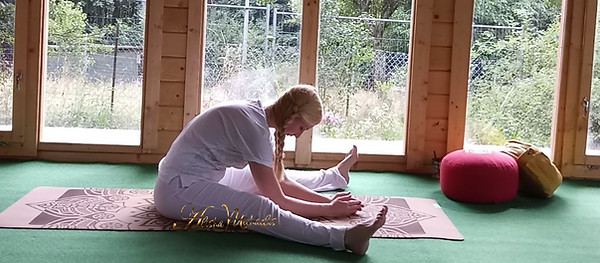 Yoga Alisha Michaelis 2.jpg
