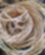F038E10F-A1E8-4A2D-82CF-CB3E02B86BC8.jpeg