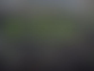 Direct Sowing Early Season Vegetables