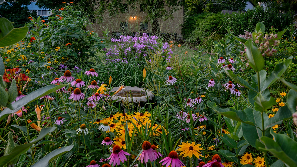 Creating a Safe, Smart, and Sustainable Urban Garden Toolkit