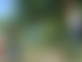 City Sprouts in the News: Omaha gets new fruit bushes