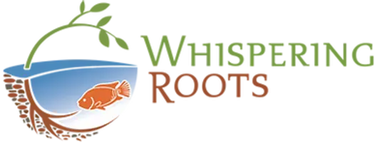 whispering roots logo color transparent background.webp