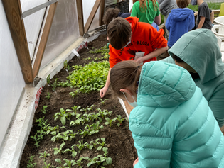 Home Grown Kids: Reflections on Year One