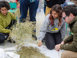 Midwest Regional Seed Buying Guide