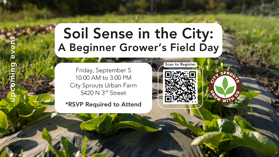 Soil Sense in the City: A Beginner Growers’ Field Day