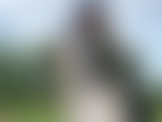 Summer 2022: City Sprouts Internship Updates