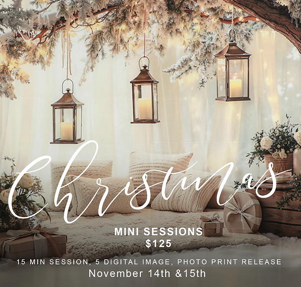 Winter Wonderland Mini site.png