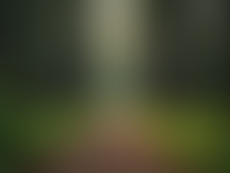 Start Your Spiritual Journey Today: Embracing Spiritual Awakening Practices