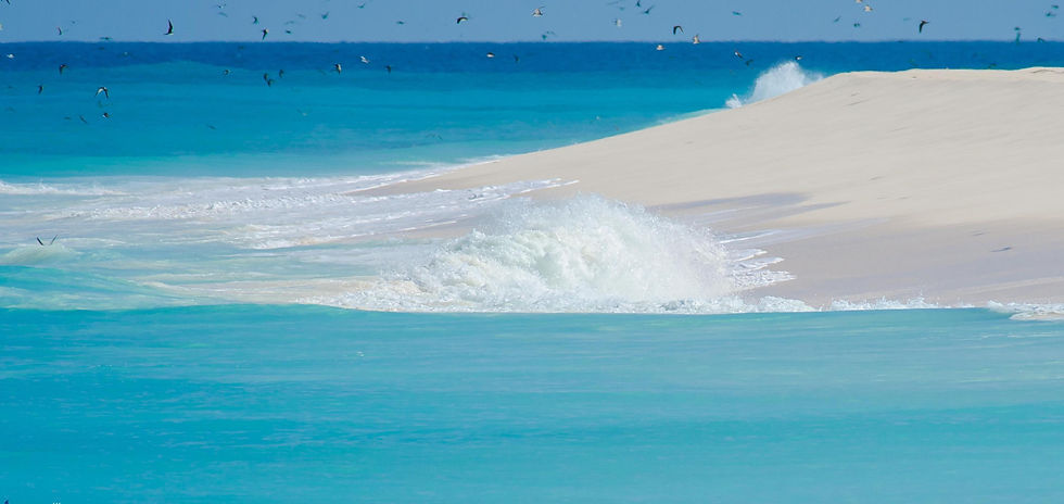 seychelles-impressions-15 copy.jpg