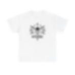 Stoic Skull Design Tee - Shirt for Philosophy Lovers.