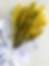 IMG_0172_edited.png
