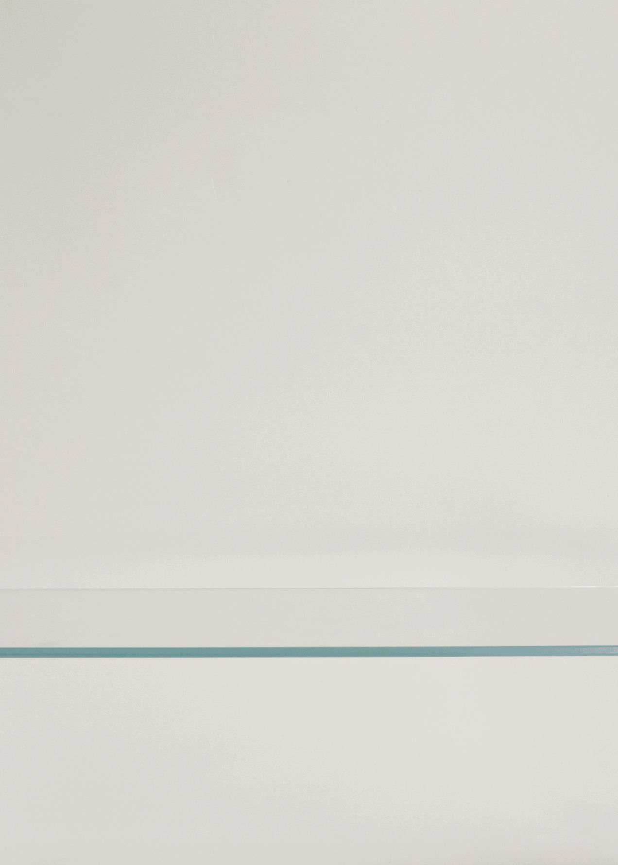 Shelfie-Stop-Motion.gif