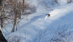 Screenshot 2024-10-10 at 12.08.01 PM