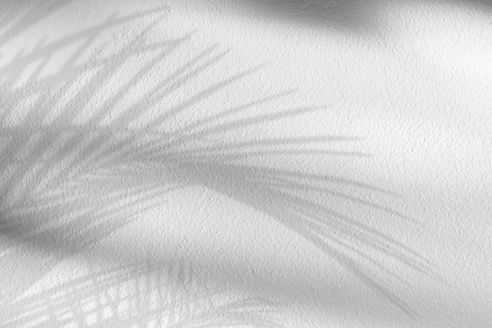 Plam Tree Shadows.jpg