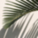 Ruthy's_Inst_PALM.jpg