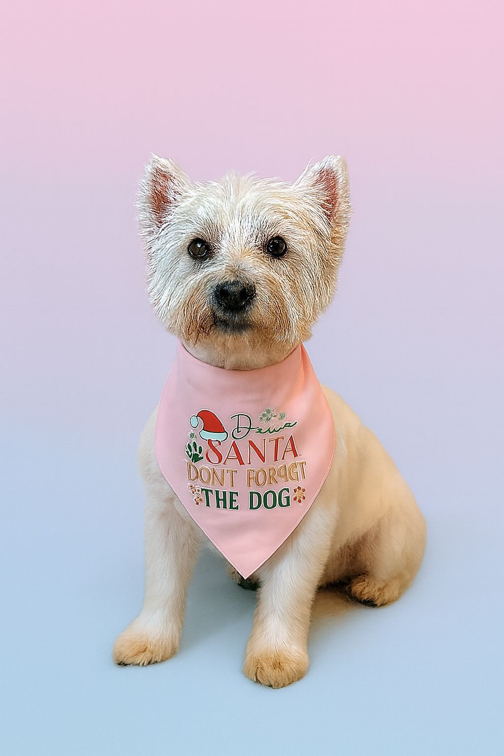 Custom made DOG BANDANAS