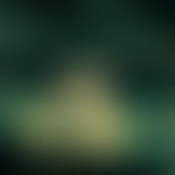 Lewis Capaldi: Broken By Desire to be Heaven 2023 - Sold Out in Nashville