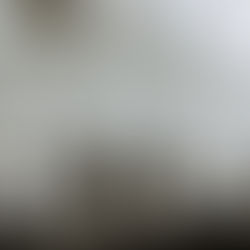 Big Time Rush: Forever Tour Summer 2022