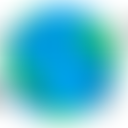 How to Start a Petition