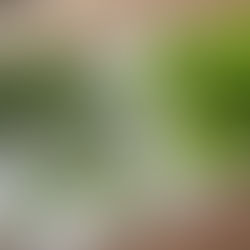 Дихальна суміш (Respiratory Blend)