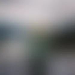 Evergreen Essence™ («Вічнозелена Есенція»)