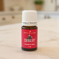 Chivalry™ («Лицарство»)