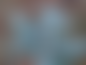 Евкаліпт блакитний Eucalyptus Blue