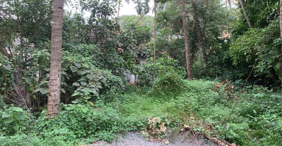 sanad land for sale in goa , plots for sale , settlement plots for Sale , St Cruz Goa