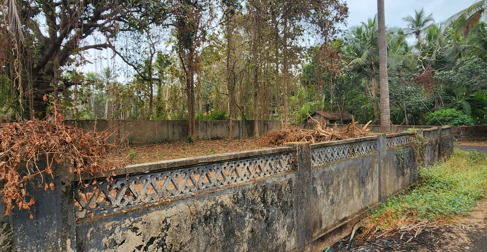 PLOTS FOR SALE IN GOA VELHA , PLOTS UNDER 1 CR IN GOA 