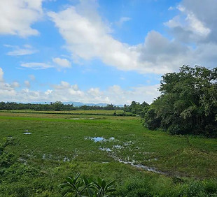 FIELD TOUCH PROPERTY FOR SALE IN NACHINOLA GOA