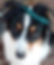 IMG-20200825-WA0002_edited.jpg