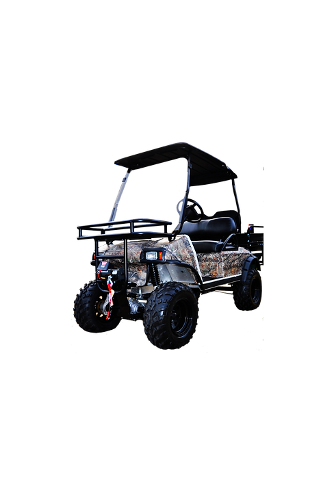 renegade camo buggy no background.png